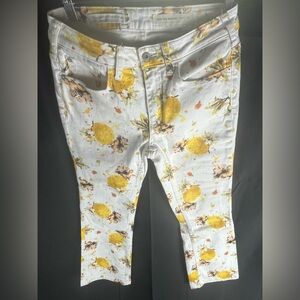 Anthropologie Lemon Grove High Rise Cropped Bootcut Jeans